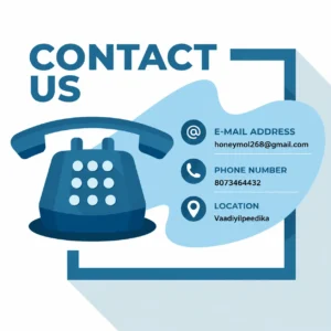 top digital marketing expert in kannur